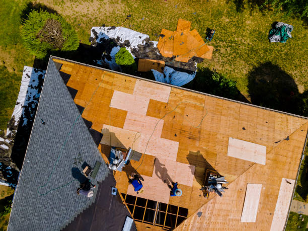 Best Storm Damage Roof Repair  in Kaneohe, HI