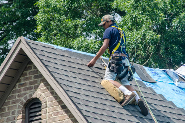 Best Residential Roof Replacement  in Kaneohe, HI